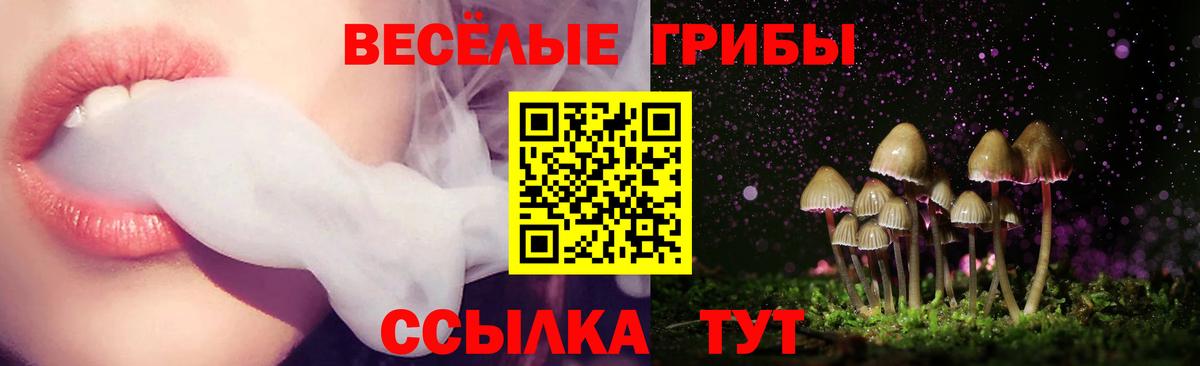 Галлюциногенные грибы прущие грибы Родники
